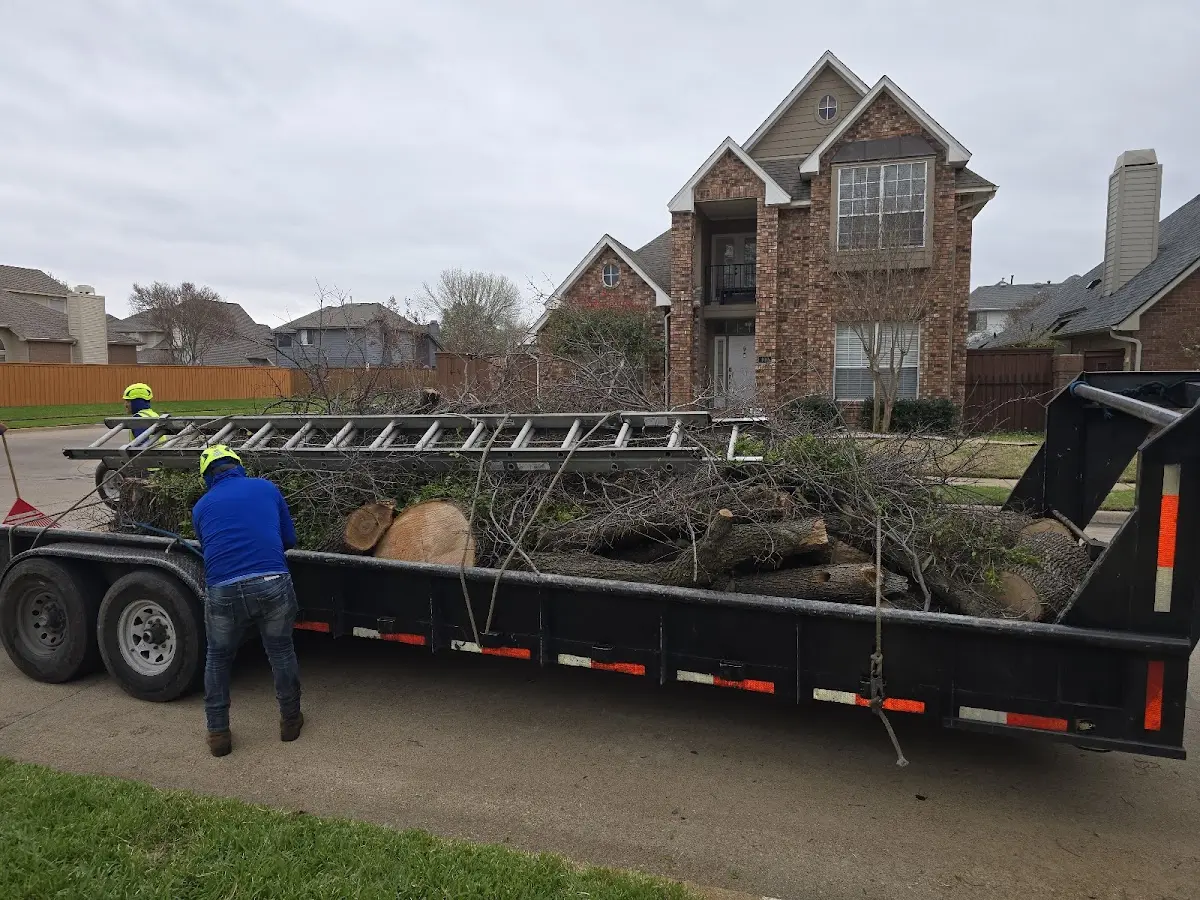 Expert Crown Reduction with proper safety equipment in Vanceburg